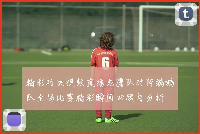 精彩对决视频直播老鹰队对阵鹈鹕队全场比赛精彩瞬间回顾与分析