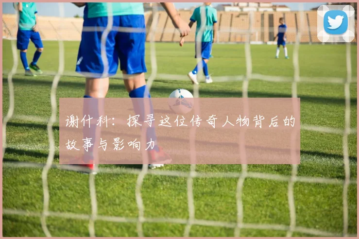 谢什科：探寻这位传奇人物背后的故事与影响力