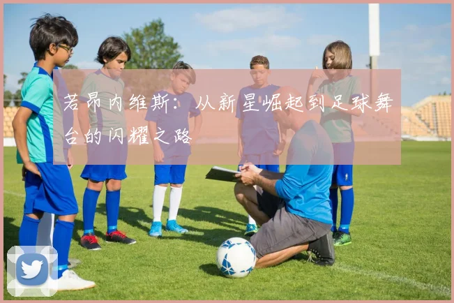 若昂内维斯：从新星崛起到足球舞台的闪耀之路