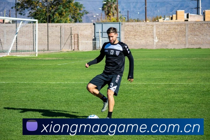 熊猫体育平台生态图